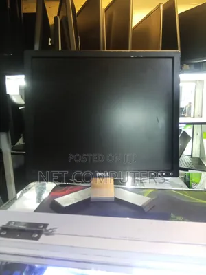 17 Computer Monitor Dell