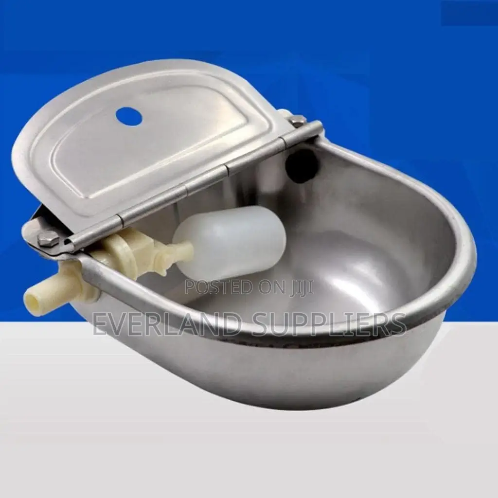 Hygienic Stainless Livestock Drinker for Cows