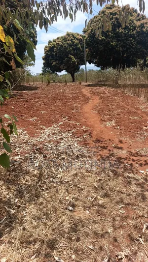 3guater Acre in Tala
