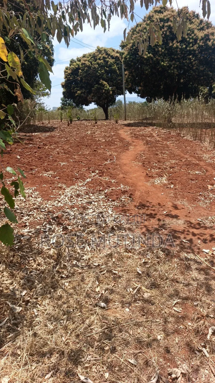 3guater Acre in Tala