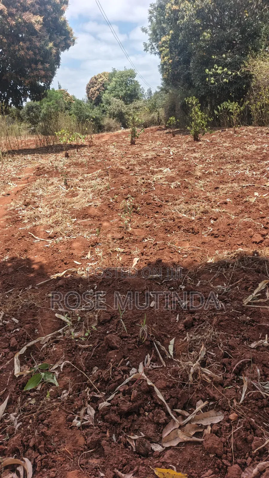 3guater Acre in Tala