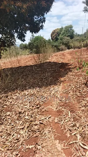 3guater Acre in Tala