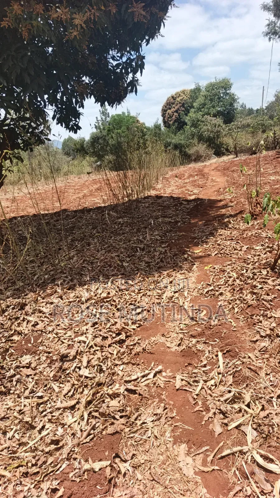 3guater Acre in Tala