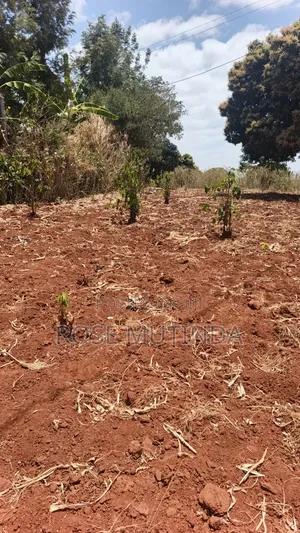 3guater Acre in Tala