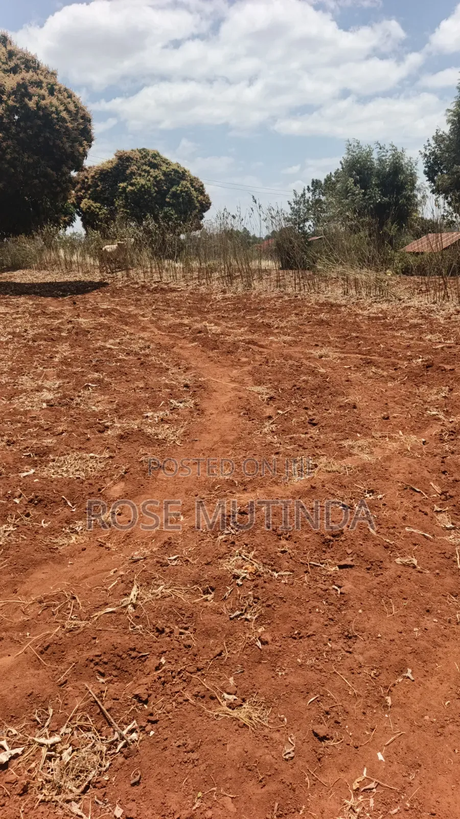 3guater Acre in Tala