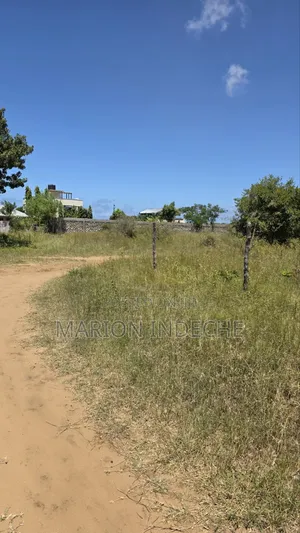 Prime 50x100ft Plot for Sale in Kilifi