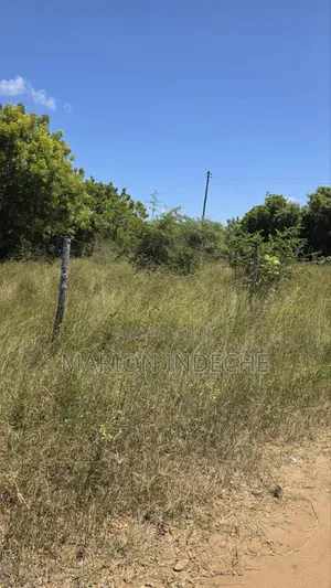 Prime 50x100ft Plot for Sale in Kilifi