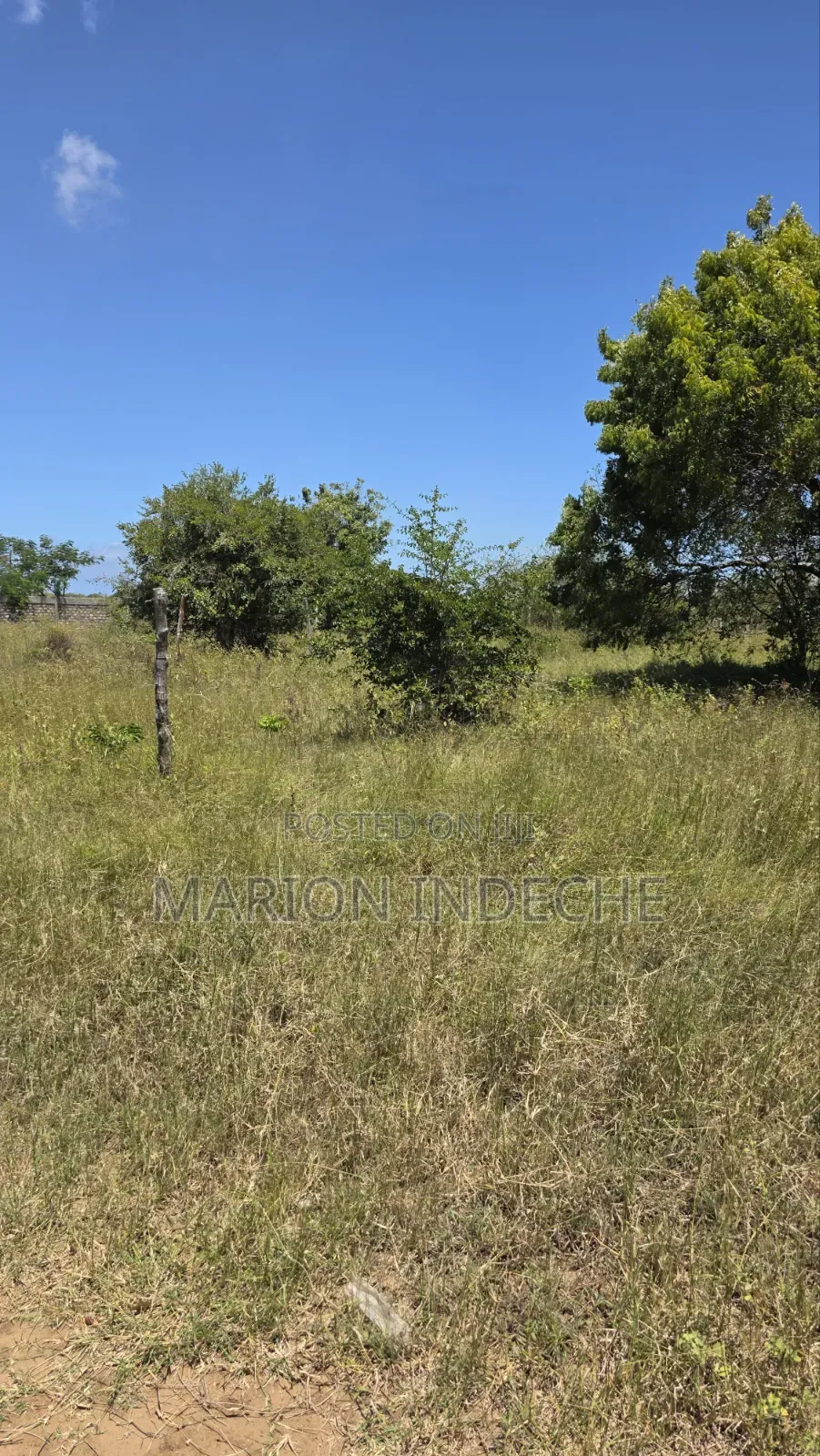 Prime 50x100ft Plot for Sale in Kilifi