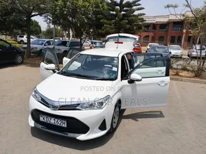 Toyota Corolla Fielder 2019 White