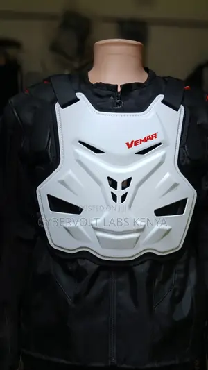Red Dragon Chest Guards