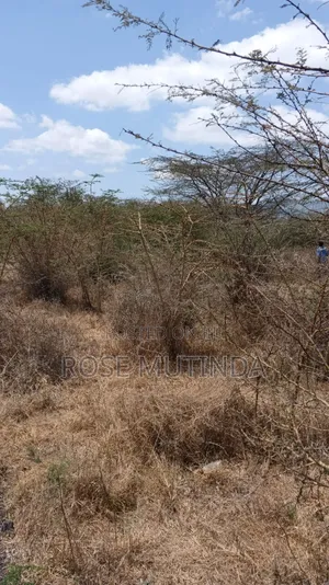 50 by 100 in Machakod