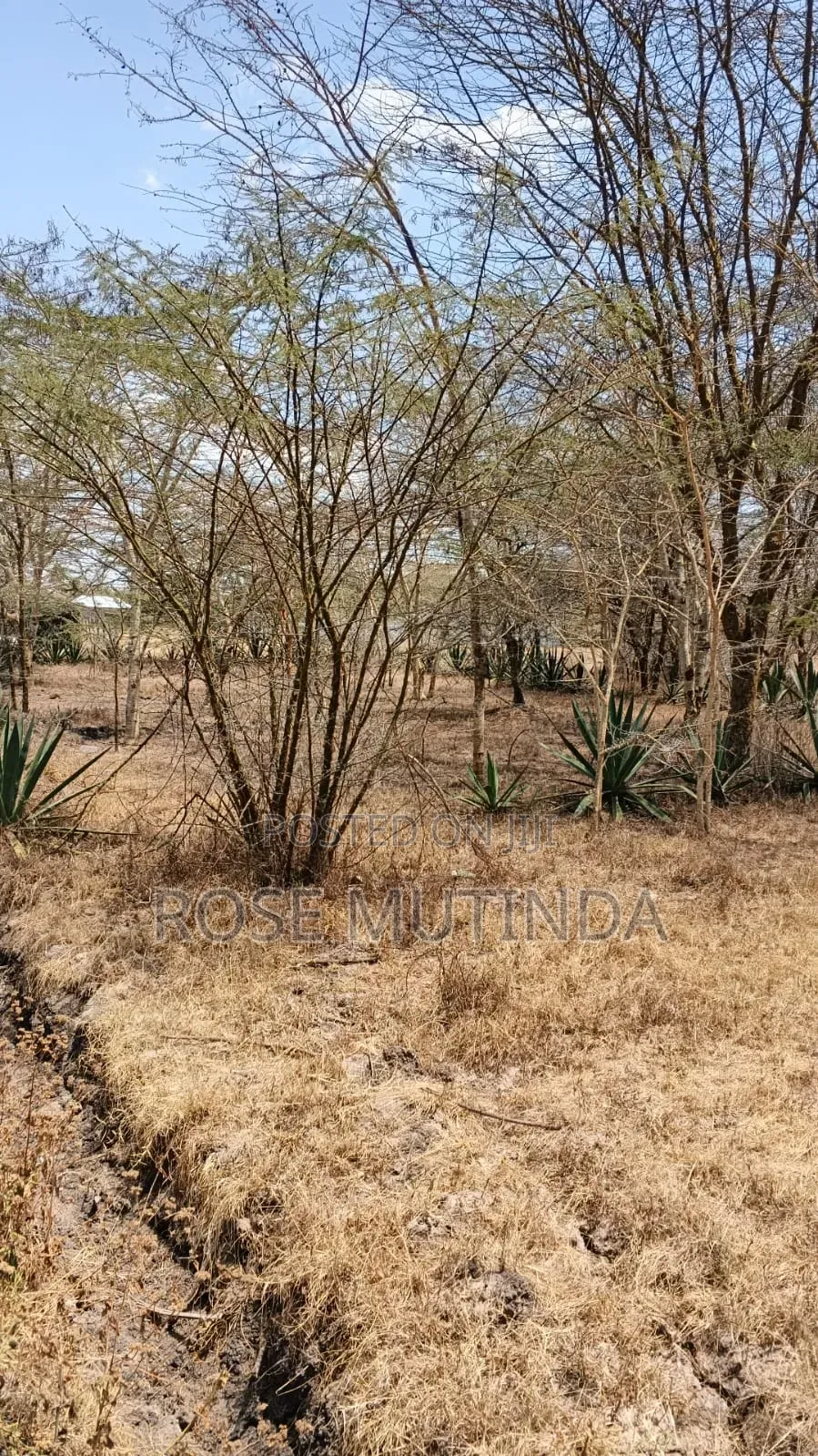 50 by 100 in Machakod