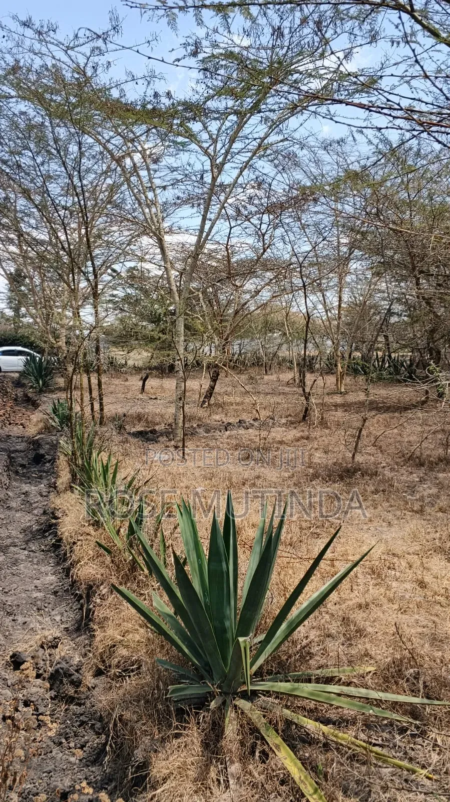 50 by 100 in Machakod