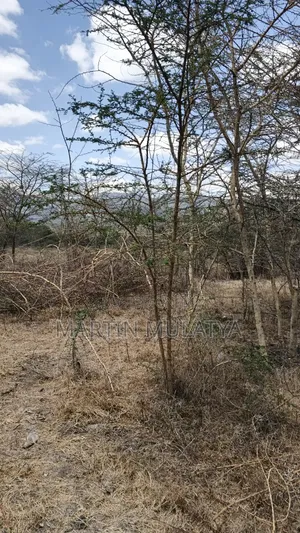 50by100 on Sell at Miwongoni