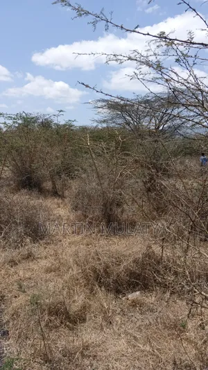 50by100 on Sell at Miwongoni