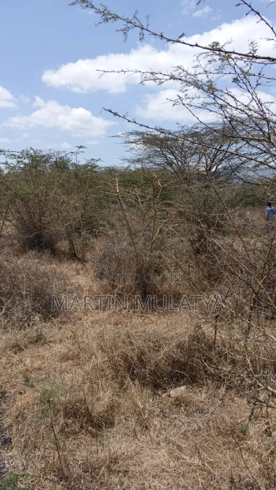 50by100 on Sell at Miwongoni