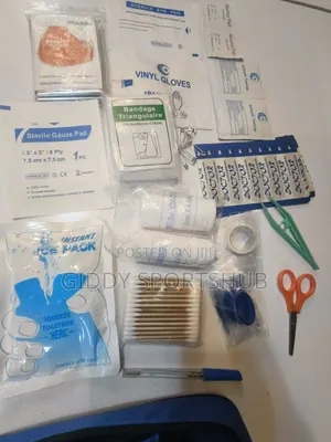 Mini First Aid Kit