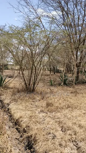 50by100 on Sell at Miwongoni