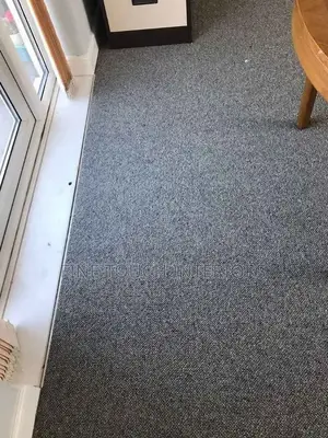 Functional Delta Wall to Wall Carpets