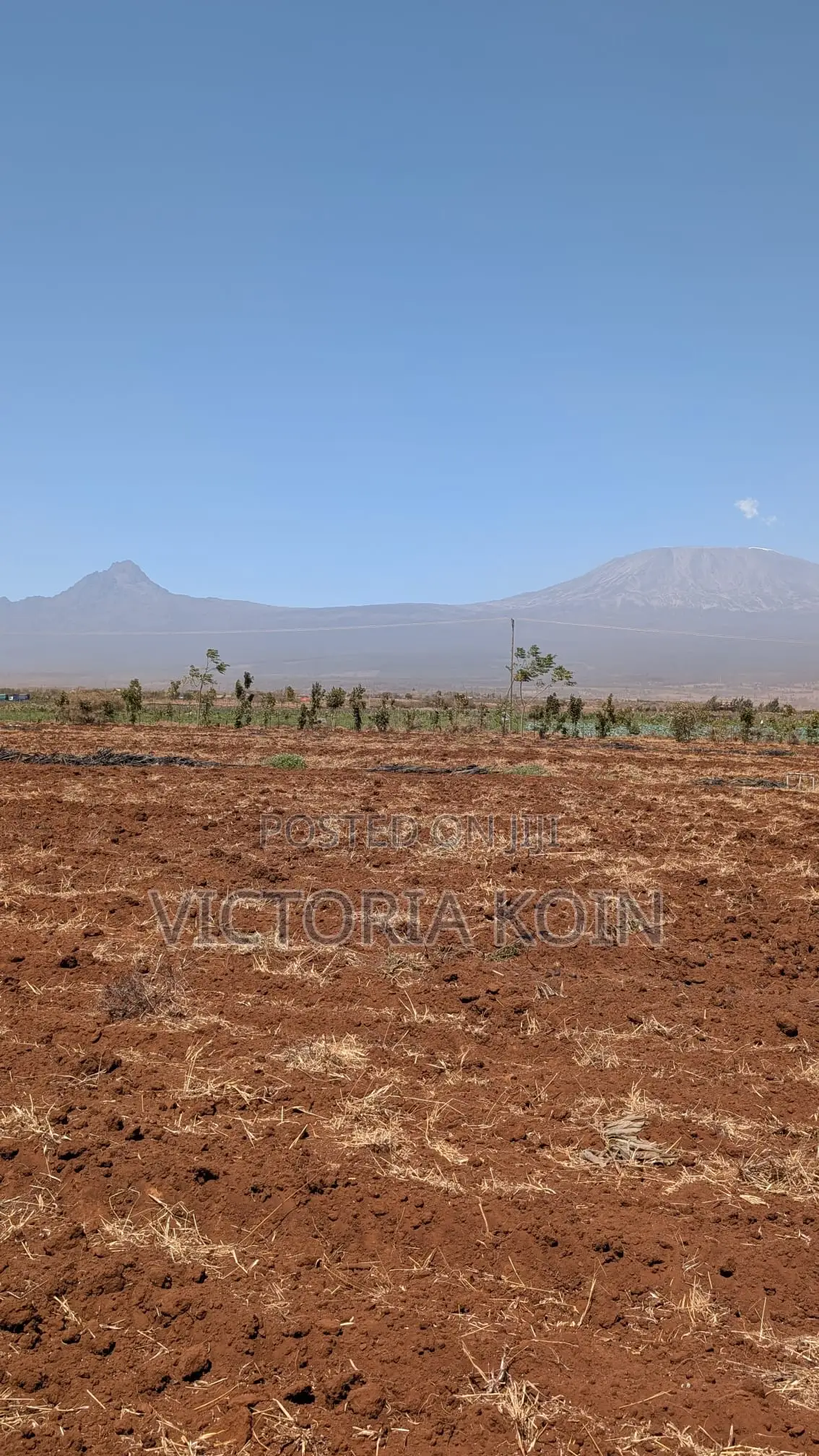 10-Acre Ready-to-Farm Agricultural Land for Sale – Loitokitok/Kimana