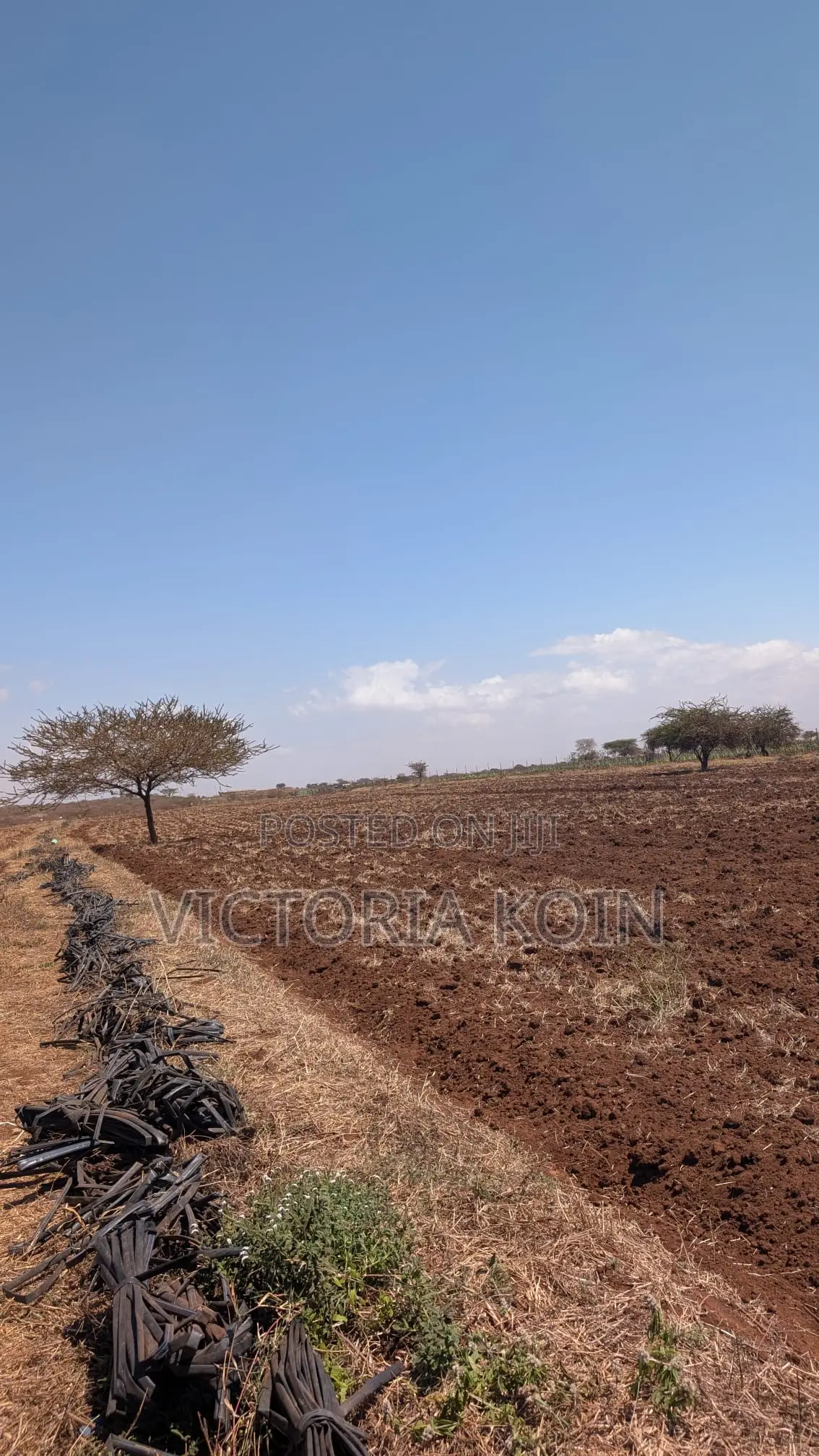 10-Acre Ready-to-Farm Agricultural Land for Sale – Loitokitok/Kimana