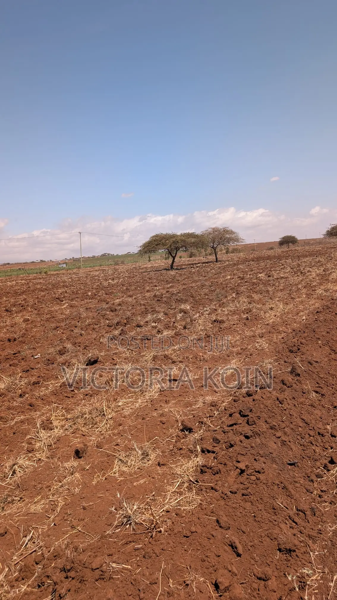10-Acre Ready-to-Farm Agricultural Land for Sale – Loitokitok/Kimana