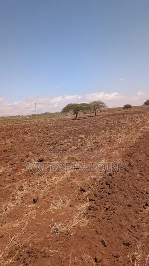 10-Acre Ready-to-Farm Agricultural Land for Sale – Loitokitok/Kimana