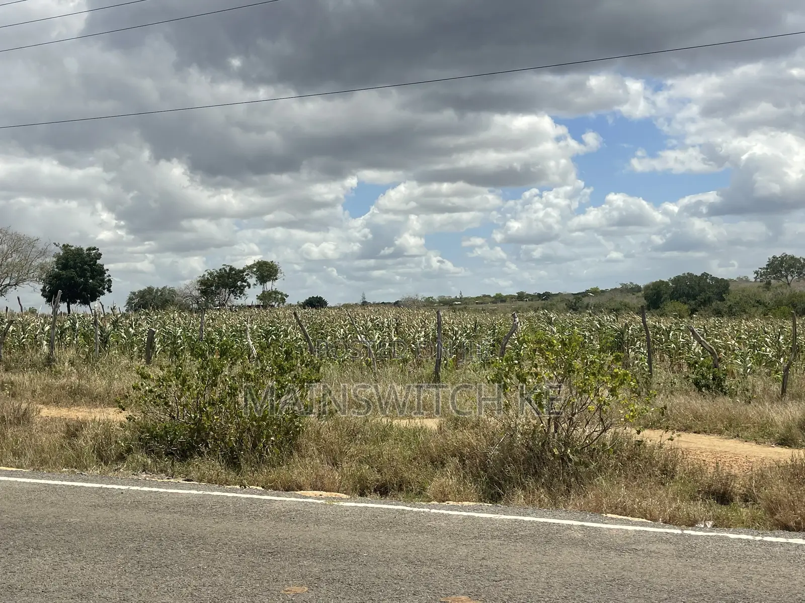 1.5 Acres for Sale Touching Tarmac Road in Marafa