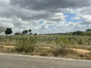 1.5 Acres for Sale Touching Tarmac Road in Marafa