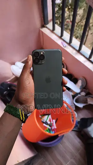 Apple iPhone 11 Pro Max 256 GB Gray