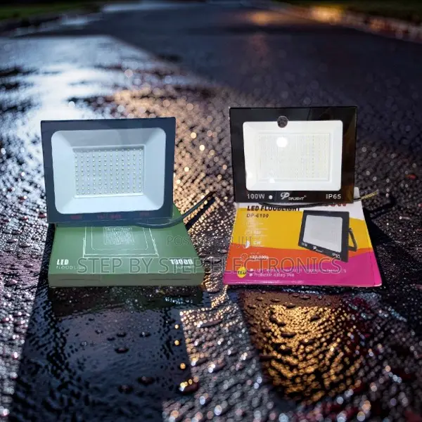 Factory Offer Prices 100W Watts AC Electric LED Flood Lights