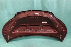 Bonnet Toyota Spade Ncp141 2012