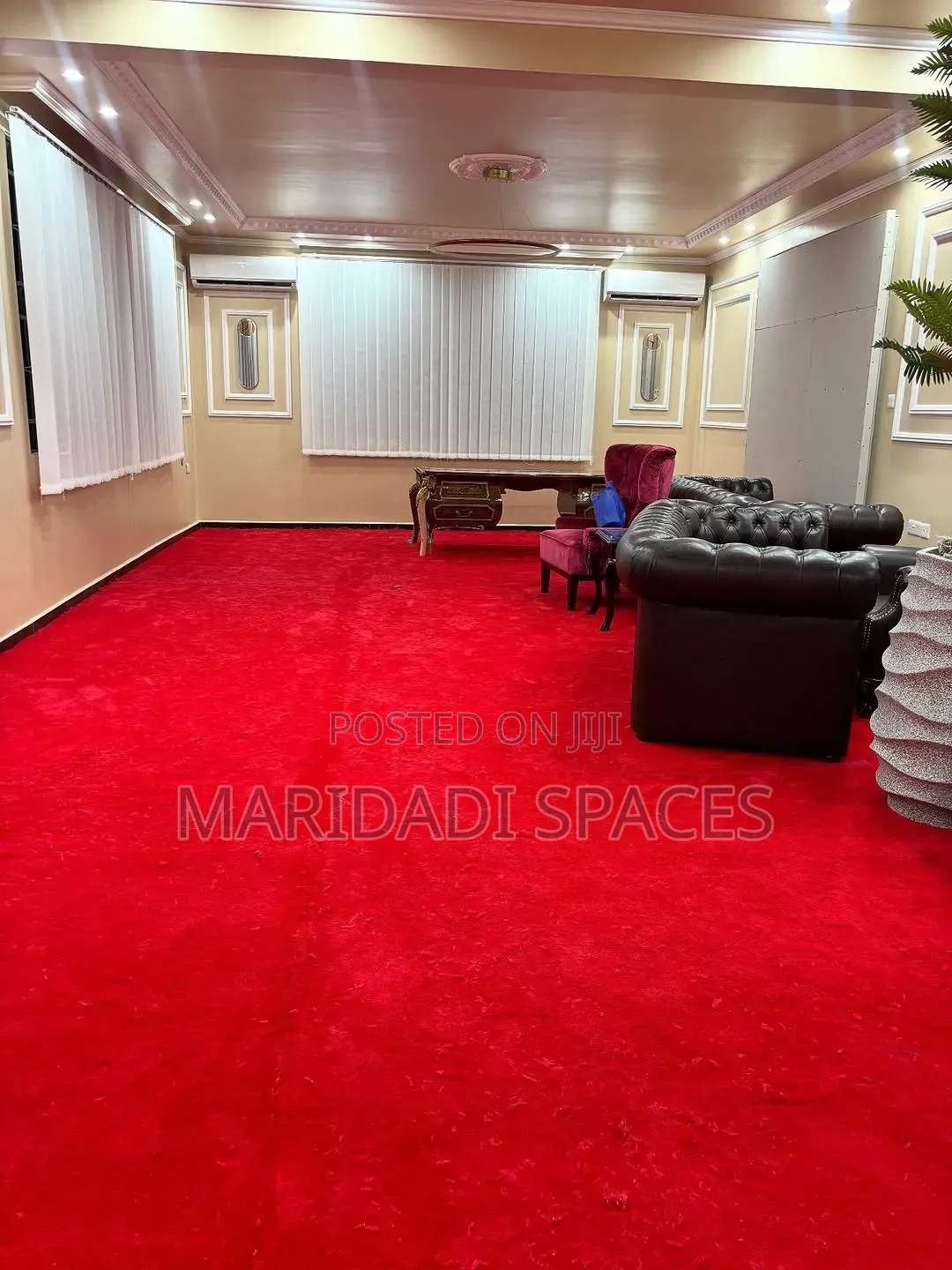 VIP Wall-to-Wall Carpet – Luxury Underfoot, Elegance Everywhere