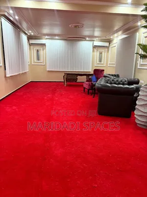 VIP Wall-to-Wall Carpet – Luxury Underfoot, Elegance Everywhere