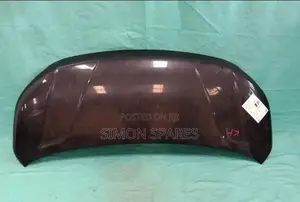 Bonnet Suzuki Solio Bandit 2015