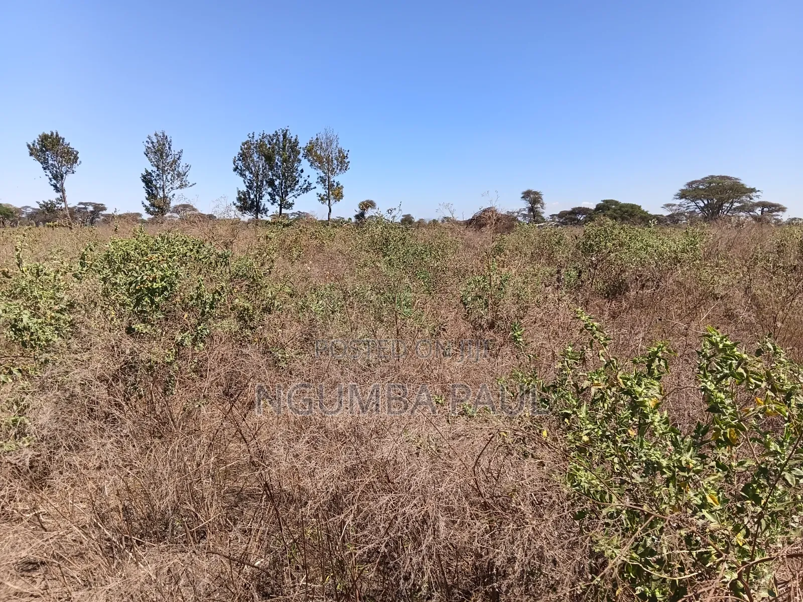 Prime Land on Sale