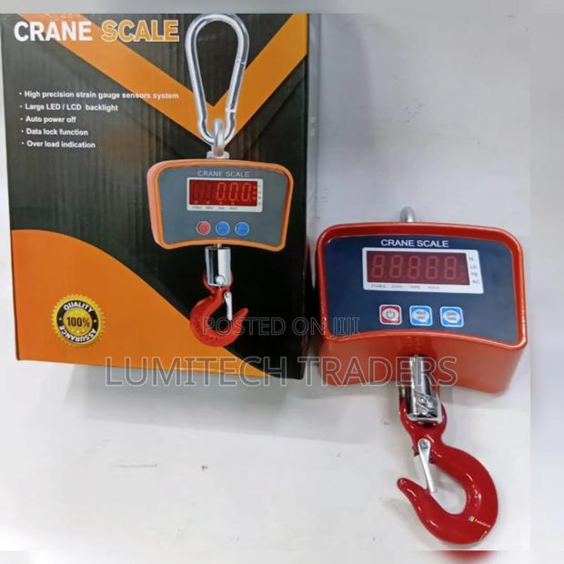 High Quality 500kg Crane Scale