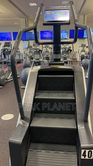 Professional Stair Master Cardio Machine