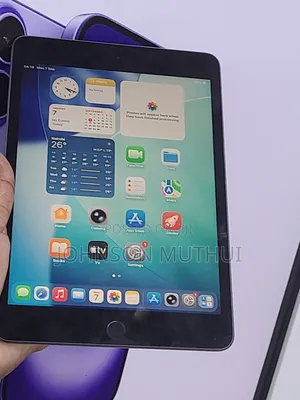 Apple iPad mini 5 (2019) 64 GB Gray