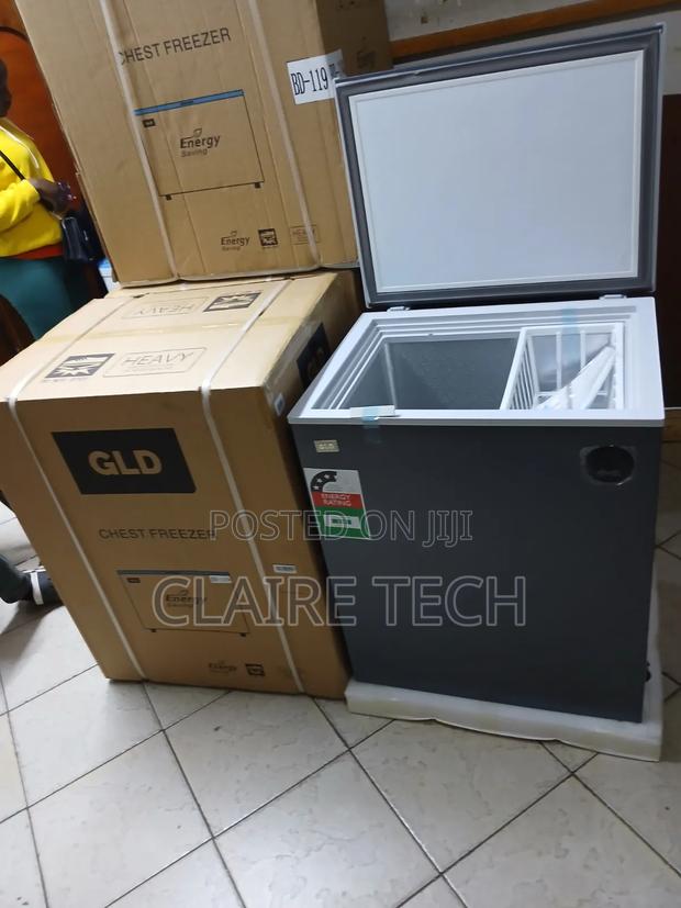 GLD 119 Deep Freezer – Perfect for Home Business