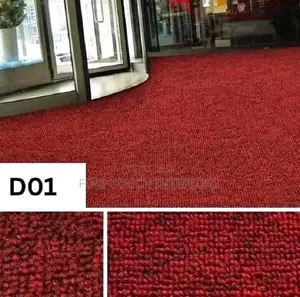 Entrances Delta Wall-to-Wall Floor Carpets