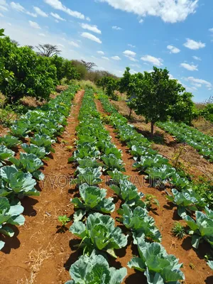 Prime Land for Sale in Kajiado