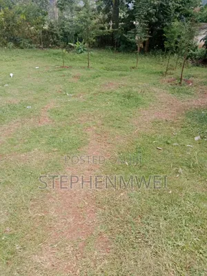 Plot 50x100 at Salgaa Town. Phase One Delight