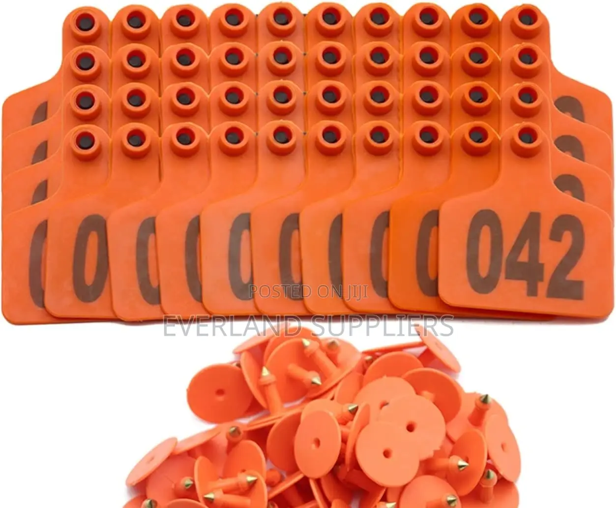 Ear Tags - Recognition