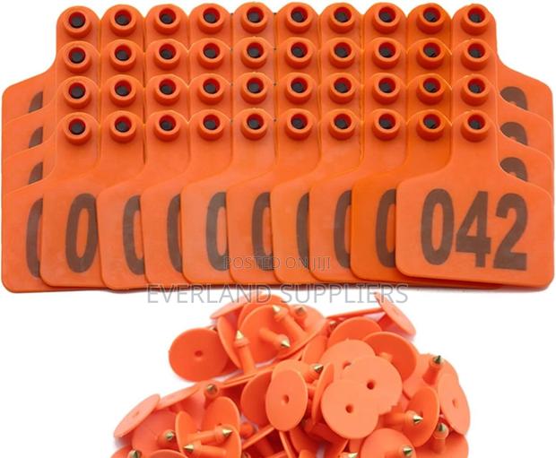 Ear Tags - Recognition - main view