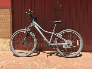Mountain Bikes