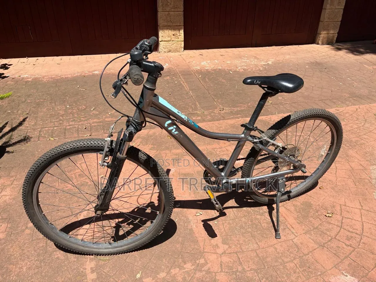 Mountain Bikes