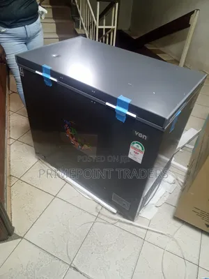 Von 254L Chest Freezer – Reliable Frozen Food Storage