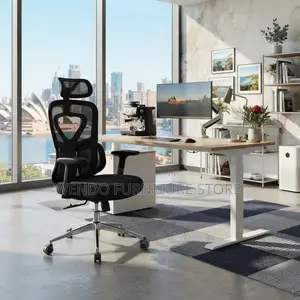 Office Chairs; Orthopedic Executive Modern Office Recliner Chairs