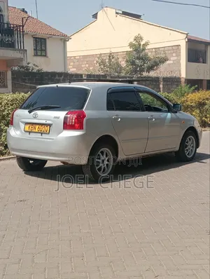 Toyota Allex 2004 Silver